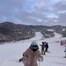 고려종합렌탈
