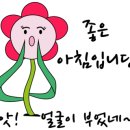 오성헬스케어