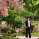 애니