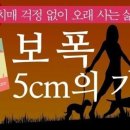 (주)보폭