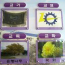 대현초등학교 이미지