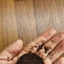 인사이드커피(insidecoffee)