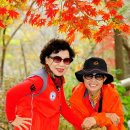 영남자원 이미지