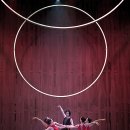 봄의 제전 G. 이미지