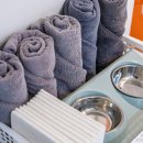 해피데이애견 이미지