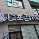 포근하개 이미지