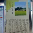 해암리 게바위 이미지