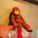 하삼동커피부산학장점 | 부산학장가성비카페추천 허니베리티 댕댕이차 건강한잔 맛집 하삼동커피