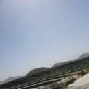 신명태양광발전소 이미지