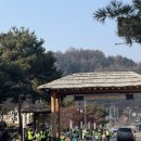 평창전통시장 화장실 | 평창 장날 봉평 오일장 주차 방문 후기 꿀팁