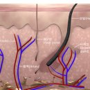 미플러스센텀의원 이미지