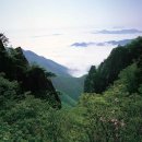 대둔산로(2) 이미지