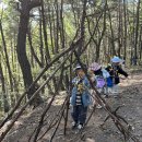 (주)나무 이미지