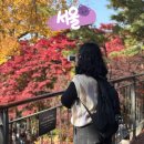 KM타워 | 서울 단풍 명소 남산 하늘숲길 가는 방법 코스 남산타워 입장권 금액