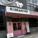 로제몽 | 경기 고양 애견카페 로제몽 찐 후기