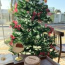 세화환승정류장 | [제주 세화 카페 추천] 코코하 카카오패밀리｜카카오 스파이시 칠리 맛본 후기