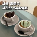 사라브 (SARAB)