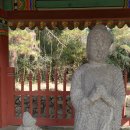 산동면사무소 이미지