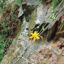 신선암봉민박 | 24. 18구간 :하늘재-포암산-꼭두바위봉-대미산-백두대간 중간지점-작은차갓재-안생달