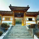 대구 근교 경북 성주 가볼만한곳 한옥 카페 청담1942