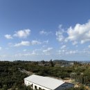 오세분농장 | <탐나는 농장> 제주 애월읍 귤따기 체험농장 (제주도 아이랑 갈만한 곳)