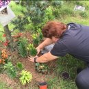 고인목장 이미지