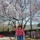 새장유어린이집 이미지