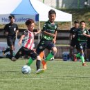 시민운동장 유소년축구장 이미지