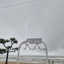 금성로2(동) | [국내] 강릉 2박 3일 여행기_강문해변, 강릉중앙시장, 소품샵, 강릉시외버스터미널
