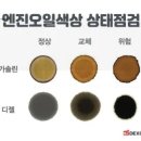 오토오아시스 이미지