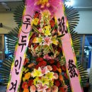안양-귀인-귀인-505 네이버블로그