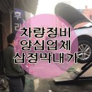 막내카 이미지