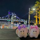 우연 노래연습장 이미지