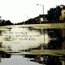 추억이있는집