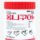 초코약국 이미지