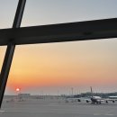 오즈카정비 | 모녀 나트랑 여행/5박 6일 나트랑 여행/나트랑 시티투어버스/내돈내산 희귀(?) 맛집 추천/1일차 코스