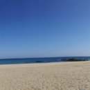 진남모터스 이미지