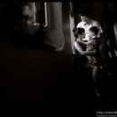 더플레인호텔 비원 이미지