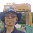 황금어시장