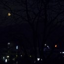 향원 티스토리