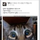 빛이 날개 이미지