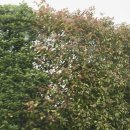 개스트푸드 | [프랑스 액상프로방스, 고흐드 숙소] Quintessence Provence