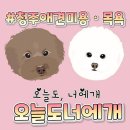 오늘도 너에개 이미지