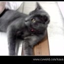 우리두리 이미지