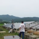 라인태양광발전소 이미지