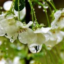 봄을담다 이미지