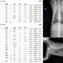 다우동물병원 이미지