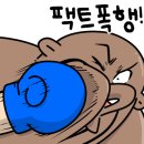 군포복싱 이미지