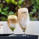 역삼1-136 | 강남이색카페 슬로우커피 역삼점｜파충류카페 감성 가득한 강남카페 🦎