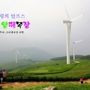 가리왕산목장 이미지